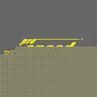 Pro Speed